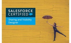 Vce Sharing-and-Visibility-Designer Files, Valid Sharing-and-Visibility-Designer Exam Review | Valid Sharing-and-Visibility-Designer Exam Tips