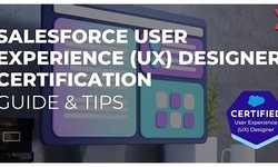 User-Experience-Designer Test Lab Questions & User-Experience-Designer Question Explanations
