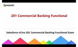 201-Commercial-Banking-Functional Best Vce & Exam 201-Commercial-Banking-Functional Discount - Training 201-Commercial-Banking-Functional Solutions