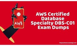 Valid DBS-C01 Study Guide & Amazon Valid Exam DBS-C01 Vce Free