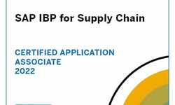2022 C_IBP_2208 Dumps Torrent | Detail C_IBP_2208 Explanation & Certified Application Associate - SAP IBP for Supply Chain Reliable Test Sims