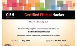 Free PDF 312-50v12 - Useful Certified Ethical Hacker Exam Valid Dumps Pdf