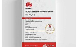 Huawei H12-891_V1.0시험대비공부문제 & H12-891_V1.0 Dumps - H12-891_V1.0최신버전시험덤프자료