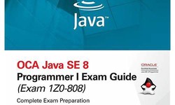 2022 Latest 1z0-808 Exam Pattern - 1z0-808 Latest Exam Price, Java SE 8 Programmer I Guaranteed Success