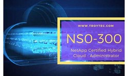 2022 Valuable NS0-303 Feedback, NS0-303 Pdf Braindumps | Related NetApp Certified Hybrid Cloud - Administrator Certifications