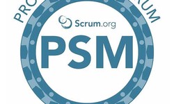 Online PSM-I Test & Study PSM-I Reference - PSM-I Latest Braindumps Book