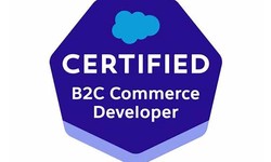 Vce B2C-Commerce-Developer Format & Practical B2C-Commerce-Developer Information - B2C-Commerce-Developer PDF VCE
