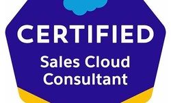Salesforce Sales-Cloud-Consultant Latest Exam Cram - New Sales-Cloud-Consultant Exam Pattern