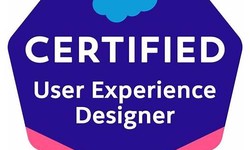 User-Experience-Designer Test Lab Questions & User-Experience-Designer Question Explanations
