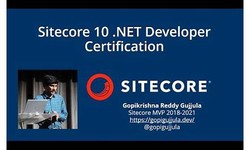 Sitecore-10-NET-Developer Latest Test Labs - Sitecore-10-NET-Developer Practice Exams, Sitecore-10-NET-Developer Dumps Reviews