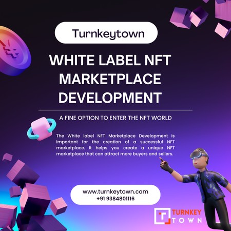 Why Approach White-label NFT Marketplace Development Company For Launching An NFT Marketplace?