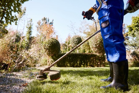 The Secret to Increasing Home Value - Hire a Professional Landscaping Company in Las Vegas
