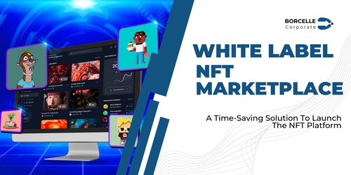 Cost-Effective Solution To Launch Your NFT Marketplace Platform