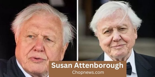 Know About Educators Susan Attenborough: Who are Susan and Robert Attenborough?