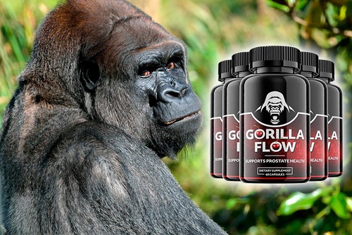 Gorilla Flow Official Price Update & Legit User Overview