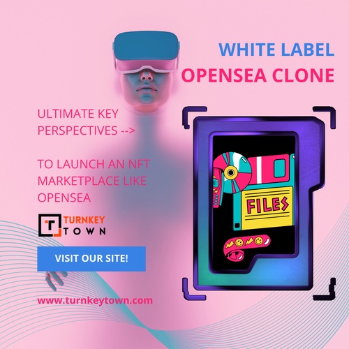 Build A Remarkable NFT Marketplace With White-label OpenSea Clone