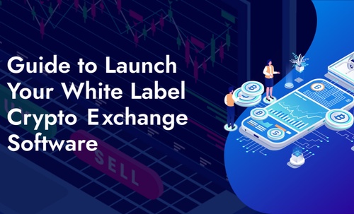 White Label Crypto Exchange Software - A Cost-Effective Way To Launch Your Cryptocurrency Exchange Business