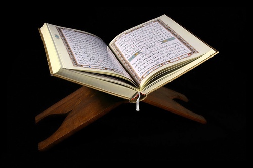 What to Look for in an Online Quran Teacher