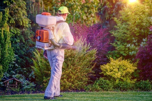 Pest Control Tips for Your Home