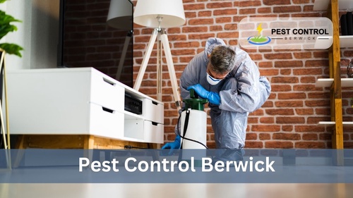 Pest Control: Tips For Handling Different Types Of Pests
