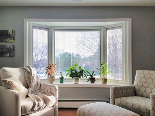 The Benefits of Novi Window Replacement for Your Home