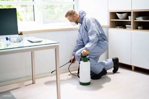 Clean your home and possessions regularly with a pesticide-free approach