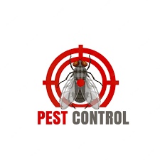 The Importance of Professional Pest Control Egham Services
