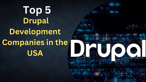 Top 5 Drupal Development Companies in the USA
