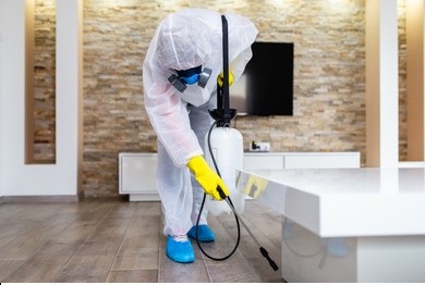 Effective Pest Extermination Methods: Say Goodbye to Unwanted Guests