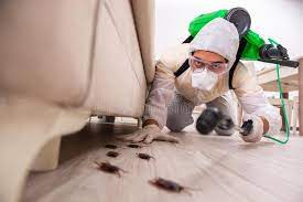 Don't Let Pests Take Over Your Home: Trust Our Pest Control Solutions