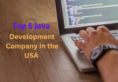 Top 5 Java Development Company in the USA
