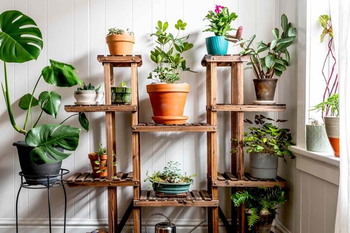 10 Easy Indoor Gardening Ideas for Small Spaces