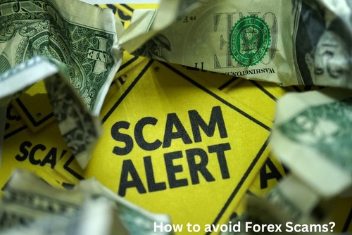 How to avoid Forex Scams?