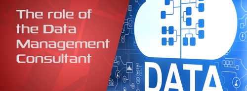 The role of the Data Management Consultant
