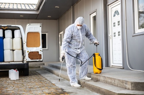 Safe and Effective Pest Control: How Our Experienced Technicians Keep Your Home Pest-Free