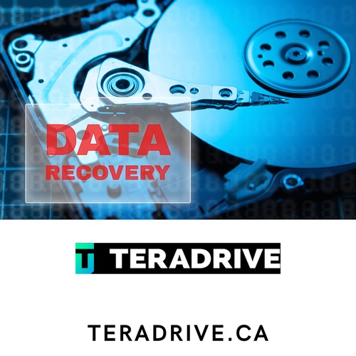 The Benefits of Professional Data Recovery Services in Langley