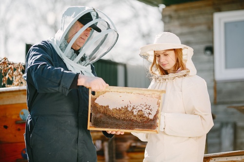 Why Ventilated Beekeeping Suits are Essential for Beekeepers