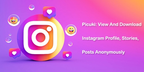 Picuki: View And Download Instagram Profile, Stories, Posts Anonymously