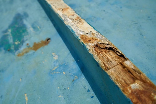 Guidelines for Repairing Termite Damage