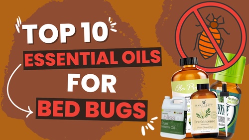10 Best Essential Oils For Killing Bed Bugs: The Ultimate Guide