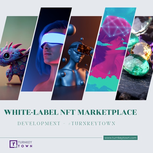 Overview and Benefits of White label NFT Marketplace Development