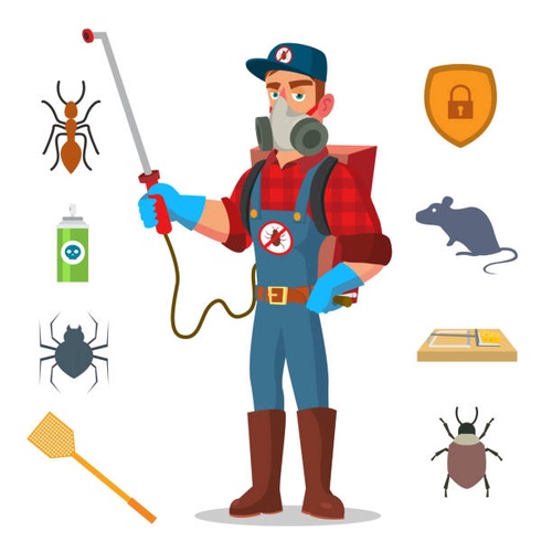 "Effective Bed Bug Control Services in Canberra: Say Goodbye to Your Bed Bug Infestation Today!"