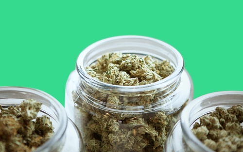 Hybrid Cannabis Strains, Explained