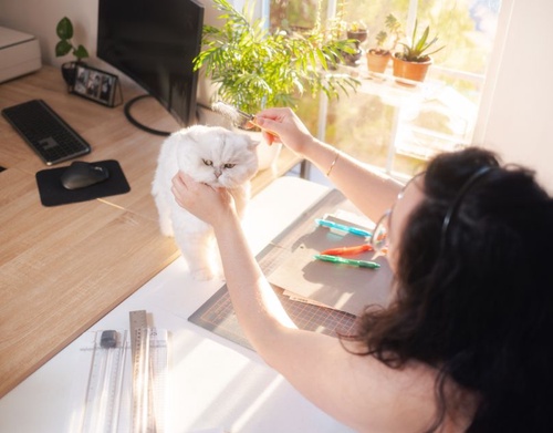 What is an Emotional Support Animal?