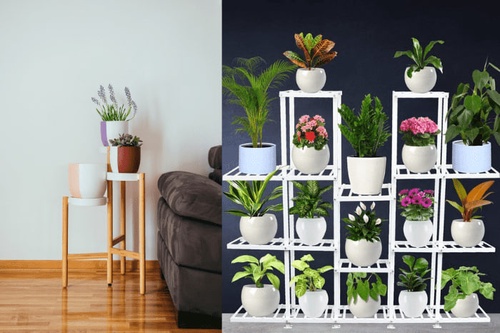 Best Plant Stands for indoors: Beautiful house with gardens