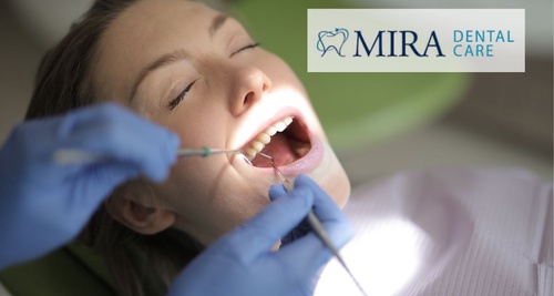 Choose the Best Family Dentist for Optimal Dental Care