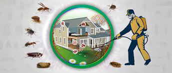 How Professional Pest Control Services Can Safeguard Your Business in Milton
