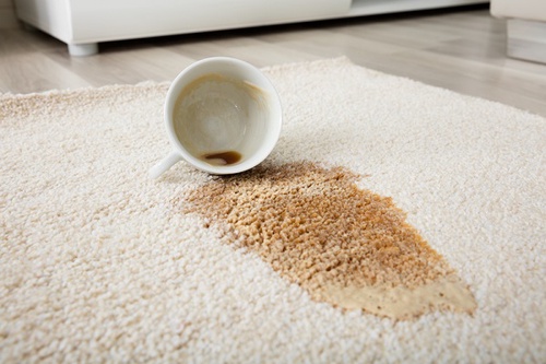 How to Clean Carpet and Get Rid of Stains