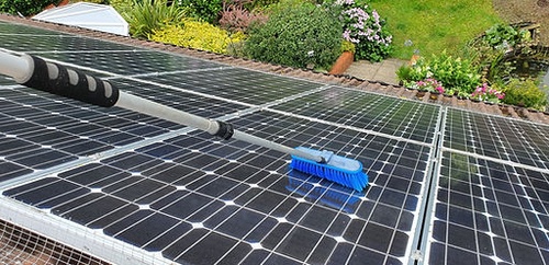 How To Protect Solar Panels From Birds?
