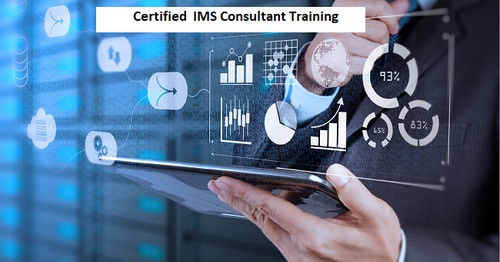 How IMS Consultants Streamline Success and Improve Business Performance
